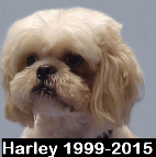 Harley 1999- 2015